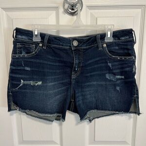 Silver Elyse Shorts SZ 30